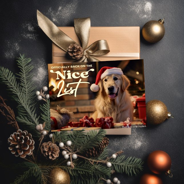 Funny Nice List Dog Pet Christmas Holiday (Funny Nice List Dog Pet Christmas Holiday)