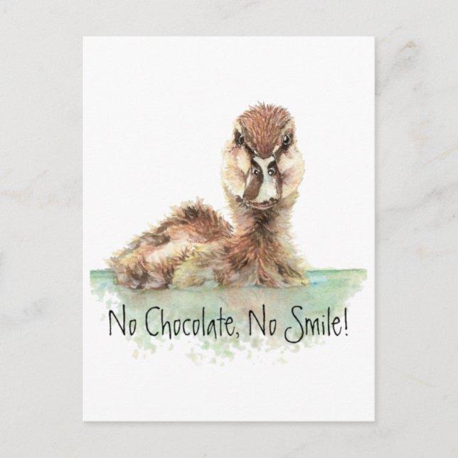 Funny, No Chocolate, No Smile, Angry Duck, Bird Postcard (Front)