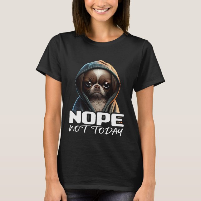 Funny Nope Not Today Dachshund I Lazy Dachshund No T-Shirt (Front)