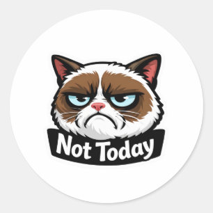  Funny "Not Today" Grumpy Cat Face Sticker