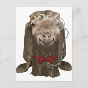 Funny Nubian Goat With Monocle Postcard