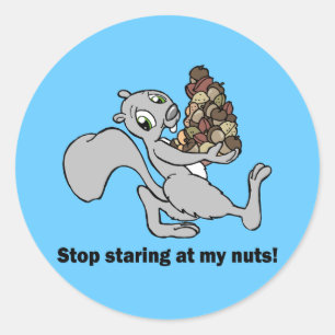 Funny nuts squirrel classic round sticker