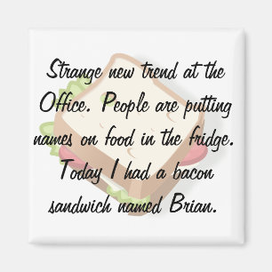 Funny Office Fridge Magnet
