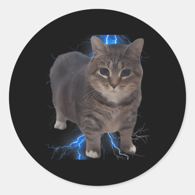 Funny Oiia Oiia Spinning Cat Meme Cat Brainrot  Classic Round Sticker (Front)