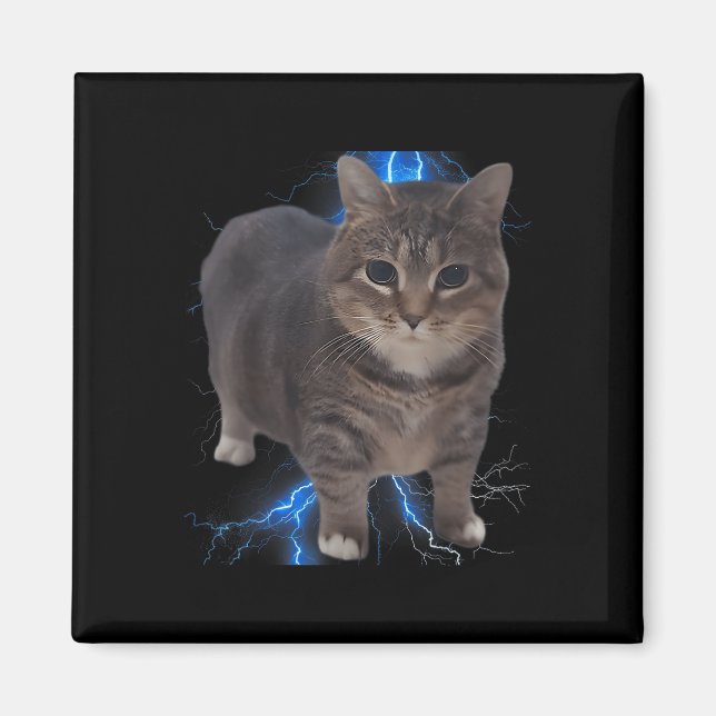 Funny Oiia Oiia Spinning Cat Meme Cat Brainrot  Magnet (Front)
