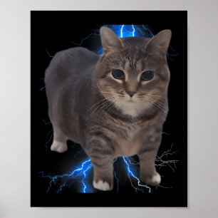 Funny Oiia Oiia Spinning Cat Meme Cat Brainrot  Poster