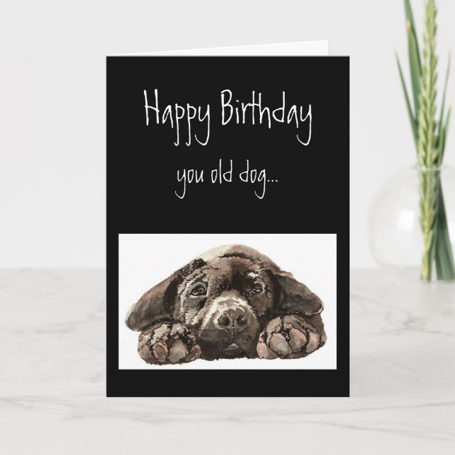 Funny Old Dog Birthday, Labrador Retriever Card (Front)