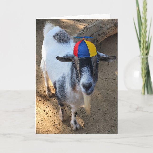 Funny Old Goat Is Still a Kid- Good For You Card (Front)