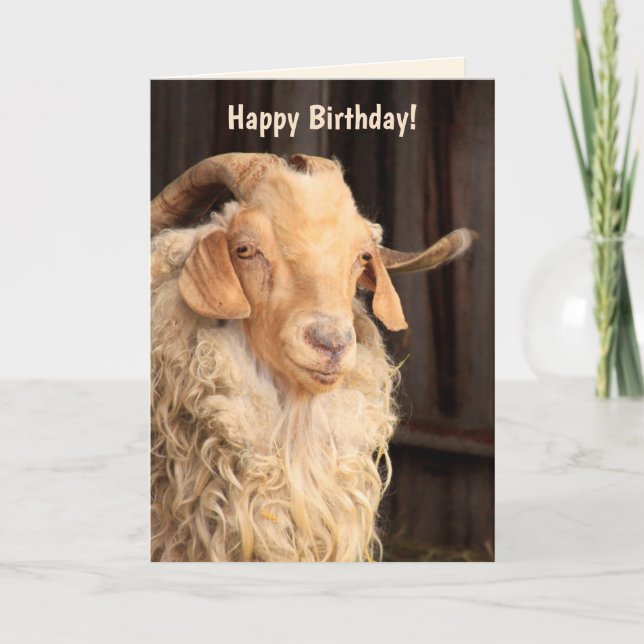 Funny "Old Goat" Quote Birthday Card (Front)