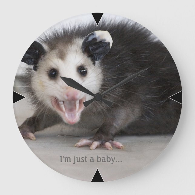 funny opossum photo customisable nature wall clock (Front)