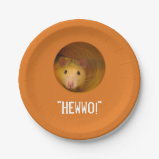 Funny Optical Illusion Rat in Hole Paper Plate