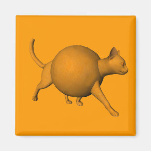 Funny Orange Cat Magnet