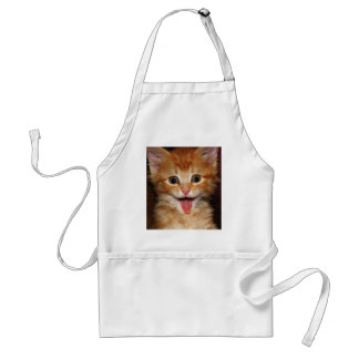 Funny Orange kitty face Standard Apron