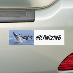 Funny ORCANIZING Orca Killer Whale Trendy Joke Bumper Sticker