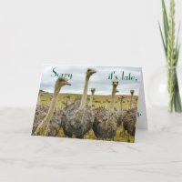 Funny Ostrich belated birthday card
