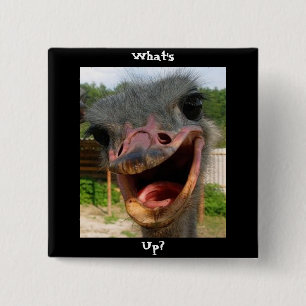 Funny Ostrich Bird Photo What's Up 15 Cm Square Badge