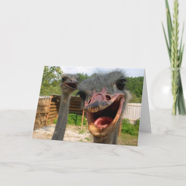 Funny Ostrich Bird Photo What's Up Card (Front)