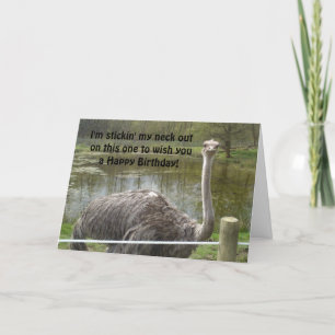 Funny Ostrich Birthday Card