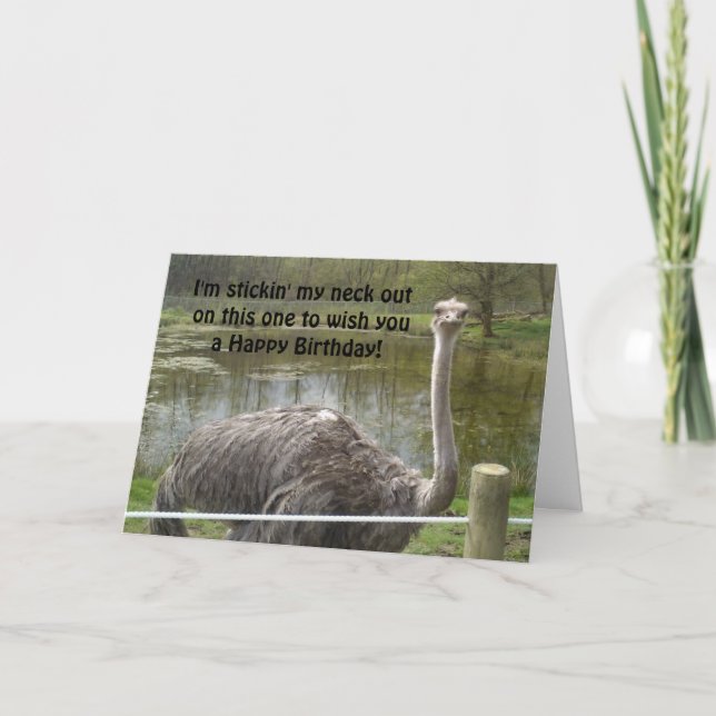 Funny Ostrich Birthday Card (Front)