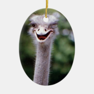 Funny Ostrich Ceramic Tree Decoration