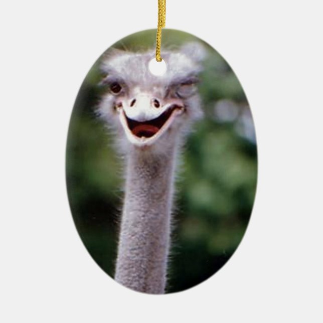 Funny Ostrich Ceramic Tree Decoration (Front)