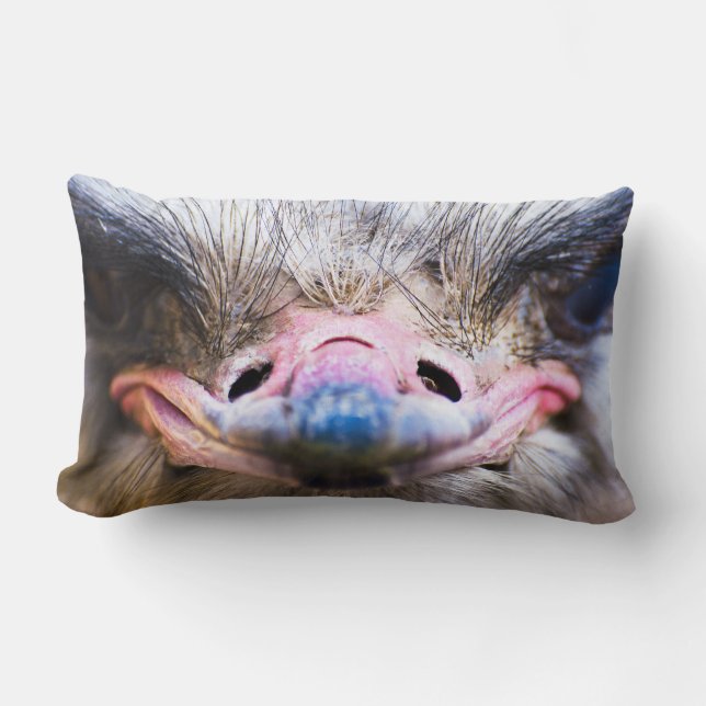 Funny Ostrich Face Close Up Pillow (Front)