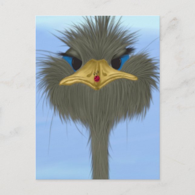 Funny Ostrich George And The Cute Ladybug Postcard (Front)