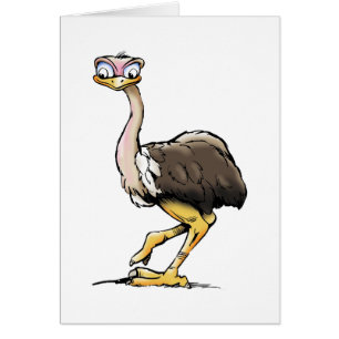Funny Ostrich Greeting Cards