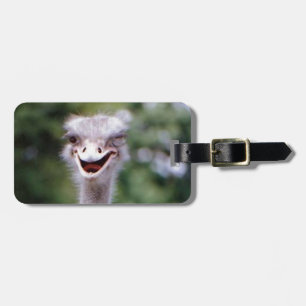 Funny Ostrich Luggage Tag