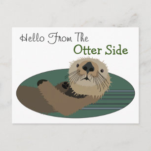 Funny Otter  Postcard