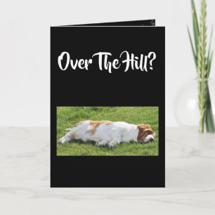 Funny "Over The Hill" Birthday Card W/Basset