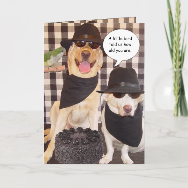 Funny Over the Hill Card (Front)