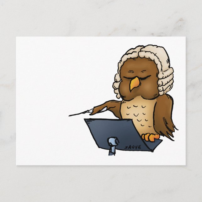 Funny Owl Conductor Cartoon Postcard (Front)