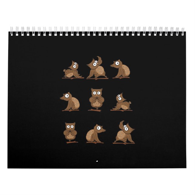 Funny Owl Emotion Pattern Calendar (Cover)