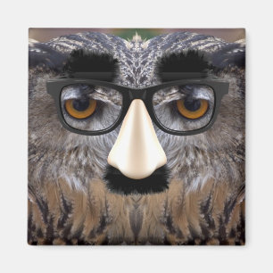 Funny Owl Face With Mask Magnet