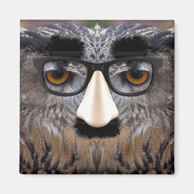 Funny Owl Face With Mask Magnet (Front)