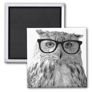 Funny owl magnet   Bird with glasses