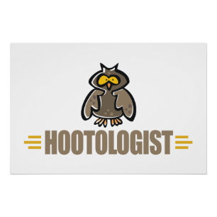 Funny Owl Poster