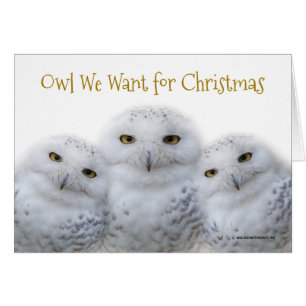 Funny Owl We Want for Christmas Snowy Owls Family