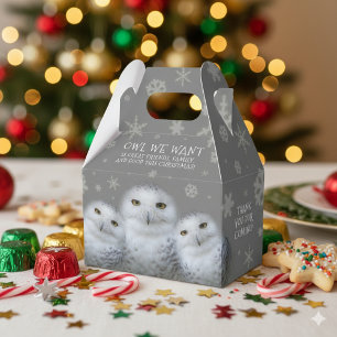 Funny Owl We Want for Christmas ... Snowy Owls Favour Box