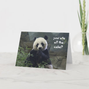 Funny Panda Birthday at cake? BAMBOOzled! Card