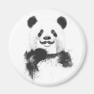Funny panda magnet