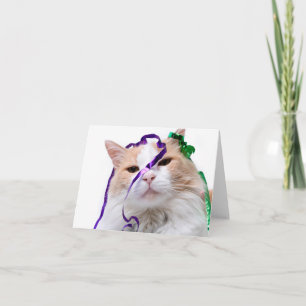 Funny party cat  card