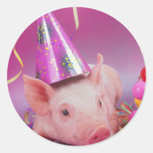 Funny Party Pig Classic Round Sticker