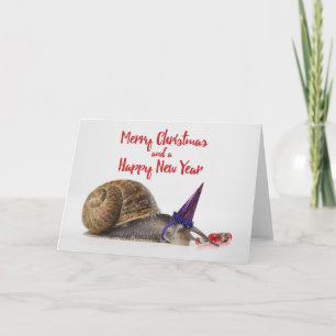 Funny Party Snail Christmas Card #2