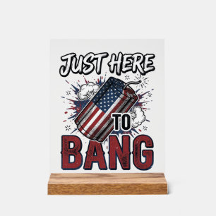 Funny Patriotic Firecracker Vintage 4th of July Sh Acrylic Sign