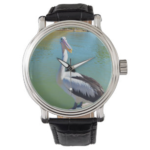 Funny Pelican Giving Back Chat,_ Watch