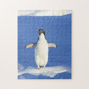 Funny penguin on ice jigsaw puzzle