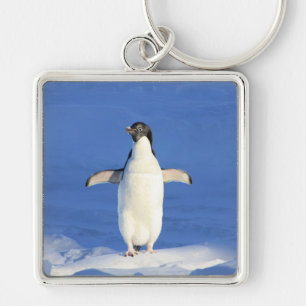 Funny penguin on ice  key ring