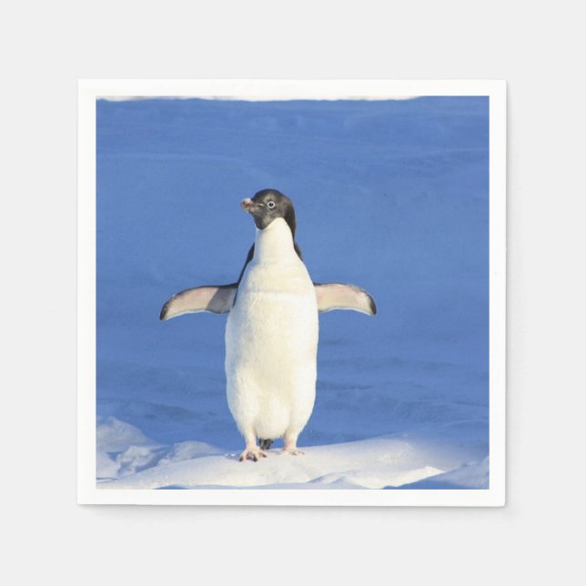 Funny penguin on ice napkin (Front)